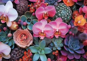 " ФРЕЯ" Пазл 1000 элемент. PZL- 1000/ 66 Экзотические растения